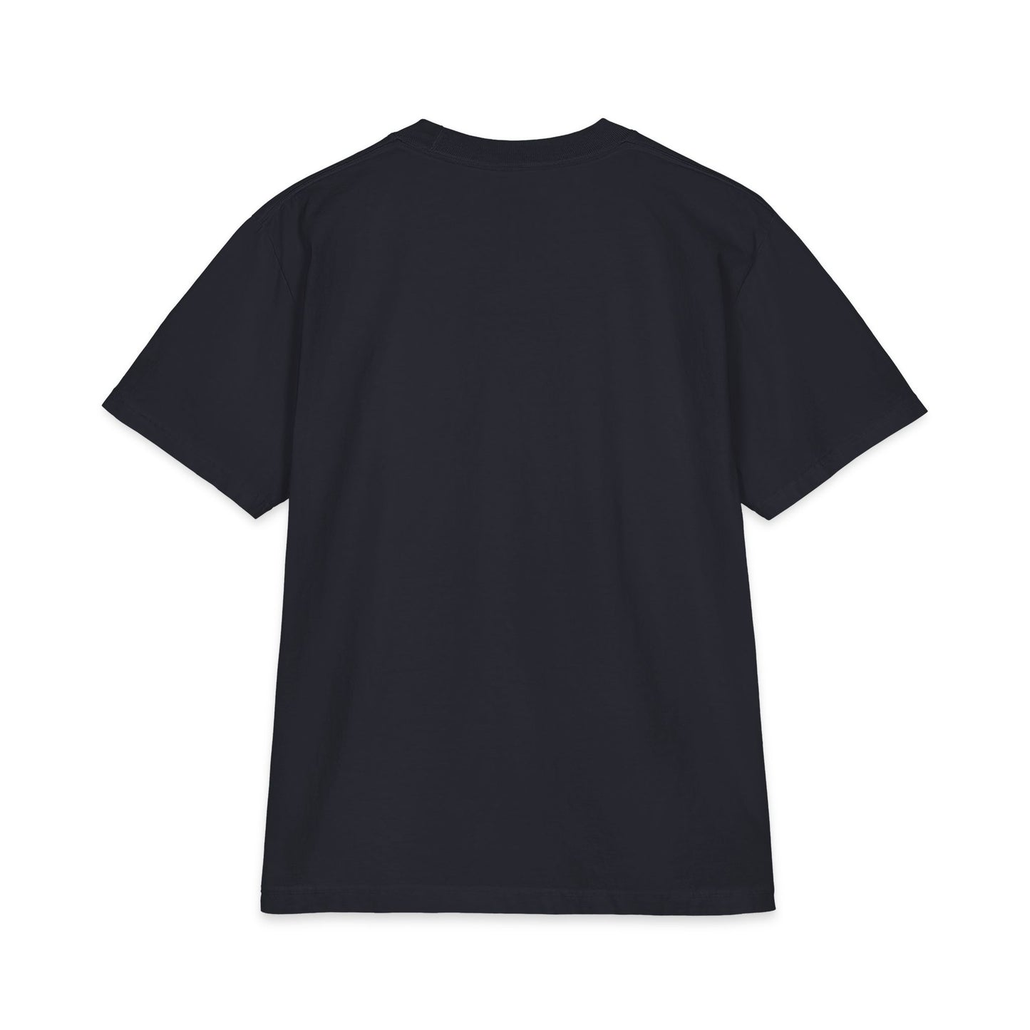 The Blueprint Melanin T-Shirt — Anatomy Graphic Tee